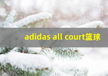 adidas all court篮球